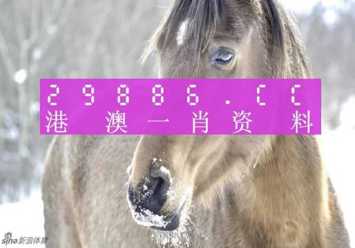澳门精准一笑一码100%-讲解词语解释释义