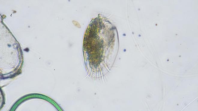 环保 第5页